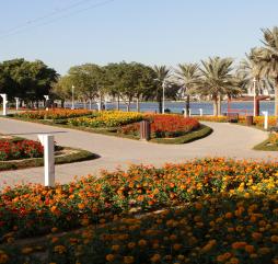 Один из парков в Дубае своими цветами может немного напомнить осень, однако это обманичиво, лето в самом разгаре!