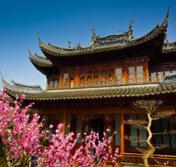 Весна в Китае заслуживает особого внимания - это поистине красивое зрелище
