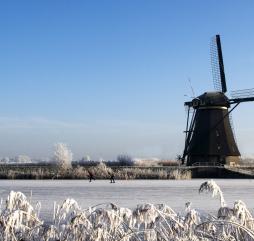 Зима в Нидерландах влажная и холодная, слякоть на дорогах - более привычное явление, нежели снег