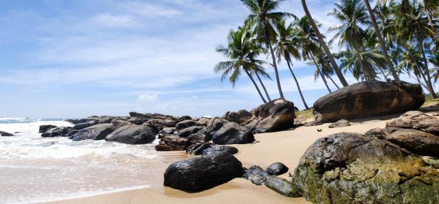 Шри-Ланка - экзотический рай, куда едут за новыми ощущениями, расширением кругозора, изумительным пляжным отдыхом и даже поиском смысла жизни
