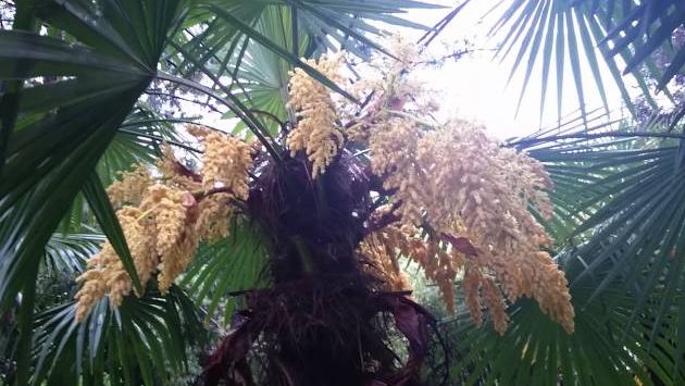 Отпуск Адлер май 2016